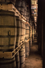 Havana Club distillery barrels