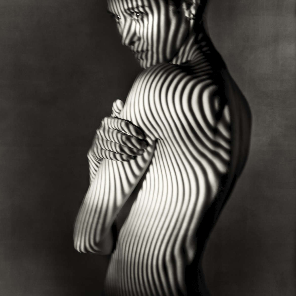 fine art black and white studio female nude with animal stripes projected