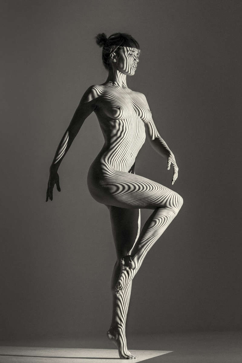 fine art black and white studio female nude with projected animal stripes. naked woman dancer