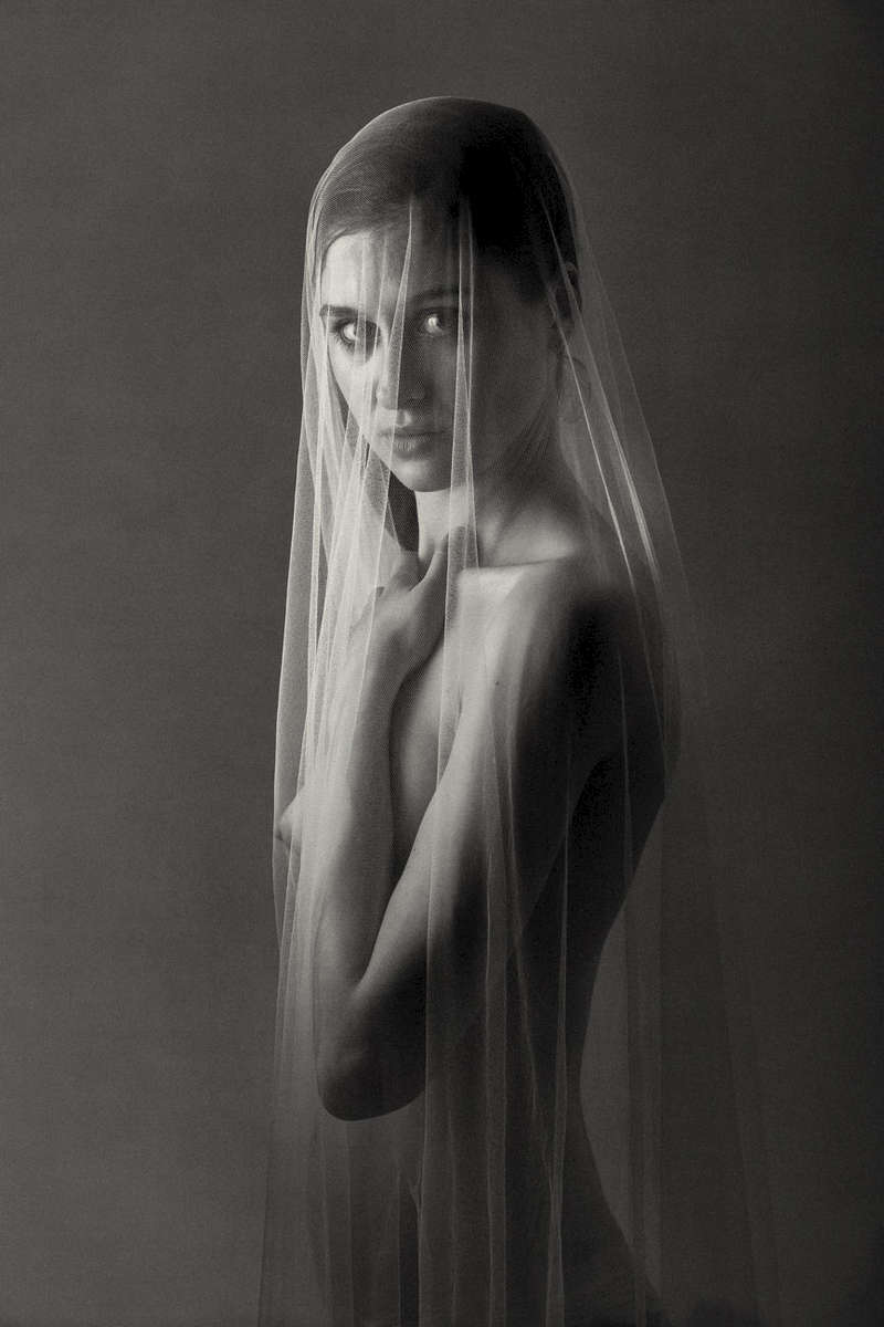 fine art black and white studio sexy female nude with draped veil