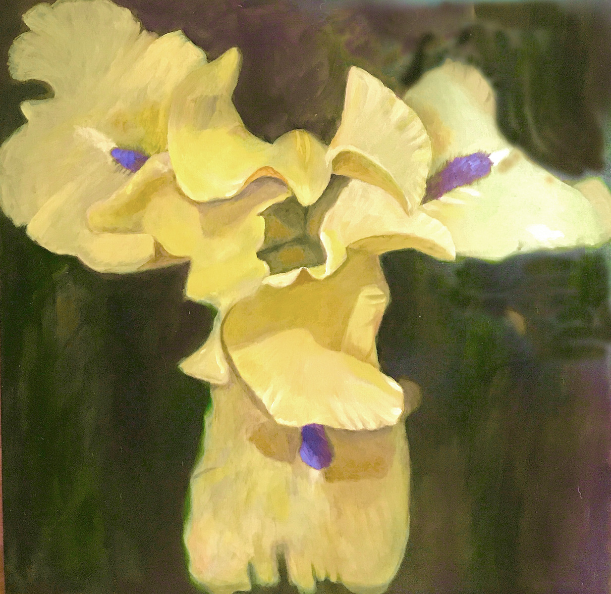 oil on canvas painting of a bearded iris 30”x30”