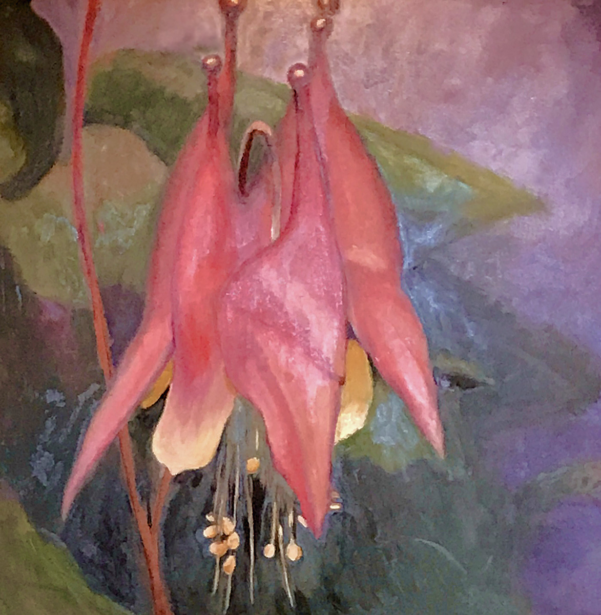 30”x30” oil on canvas painting of a wild Columbine flower