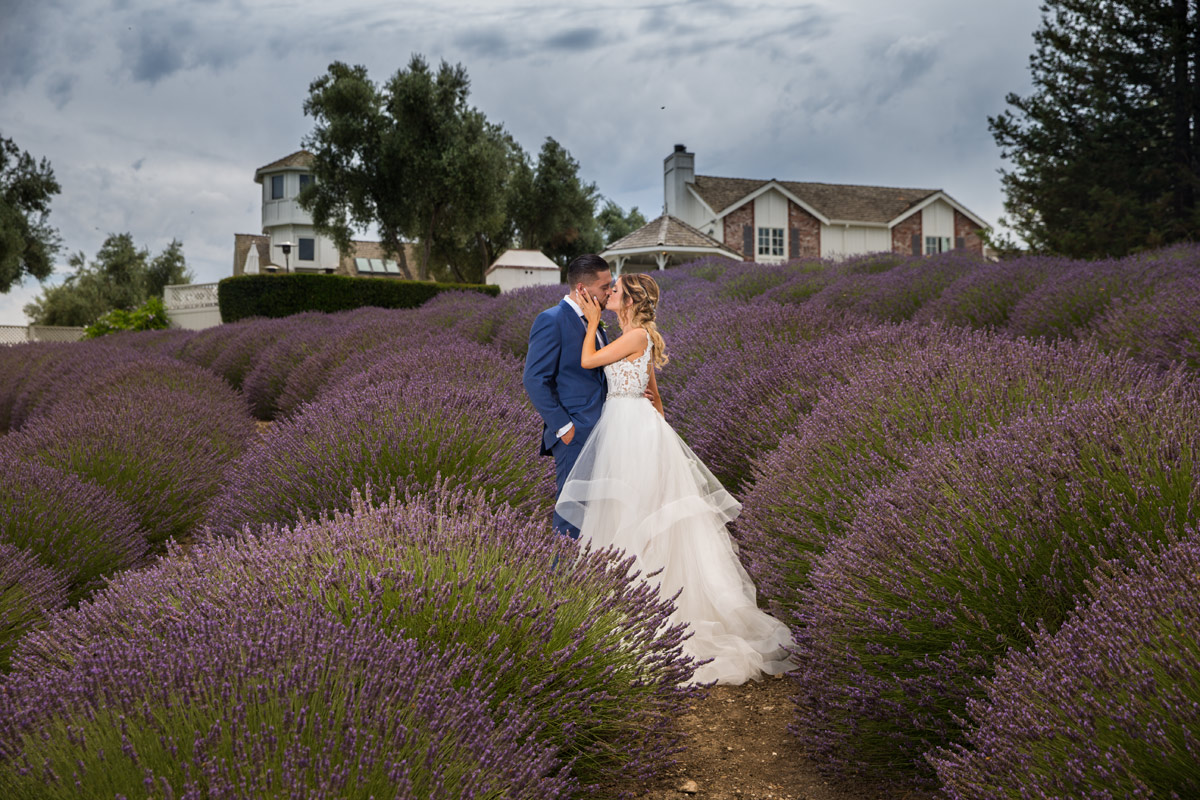A beautiful bride and her handsome groom are walking hand in hand through a blooming lavender field at Leal Vineyards, a picturesque winery and event venue in Hollister, California. The bride is wearing an elegant white wedding dress and holding a bouquet of purple flowers, while the groom is dressed in a stylish suit and tie. The rows of lavender plants extend far into the distance, creating a stunning purple-hued backdrop for the couple's romantic photo shoot. The sun is shining brightly in the blue sky, and the sweet scent of lavender fills the air. This image captures the beauty and tranquility of the natural surroundings, as well as the love and affection of the newlyweds on their special day.