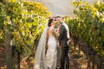 Bride and groom sharing a romantic moment amidst the vineyard splendor of their wedding at Meritage Resort in Napa Valley. The couple is framed by lush grapevines heavy with ripe fruit, symbolizing abundance and growth. With the resort's architecture and rolling hills in the background, this image captures the beauty of their union against the backdrop of Napa's renowned wine country.