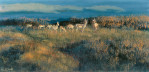 A small herd of antelope at sunset