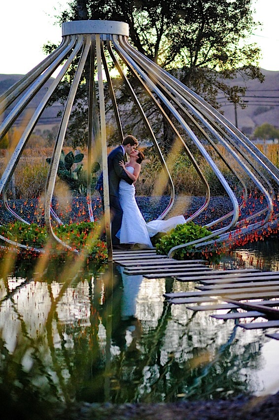 Artistic and Creative Documentary Wedding Image at Sonoma Cornerstone Gardens.  Image photographed by Documentary Wedding Phtogorapher enLuce Phtography based in Sonoma's Wine Country.