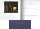 Annandale Volume 133/Number 1, 1993Ginger Shore, editorimage  by Anne Turyn, page 20text by Lydia Davis, page 21
