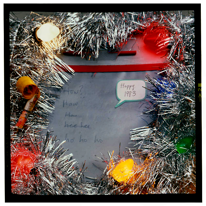 new year's greetingphoto © 1983 Anne Turyn