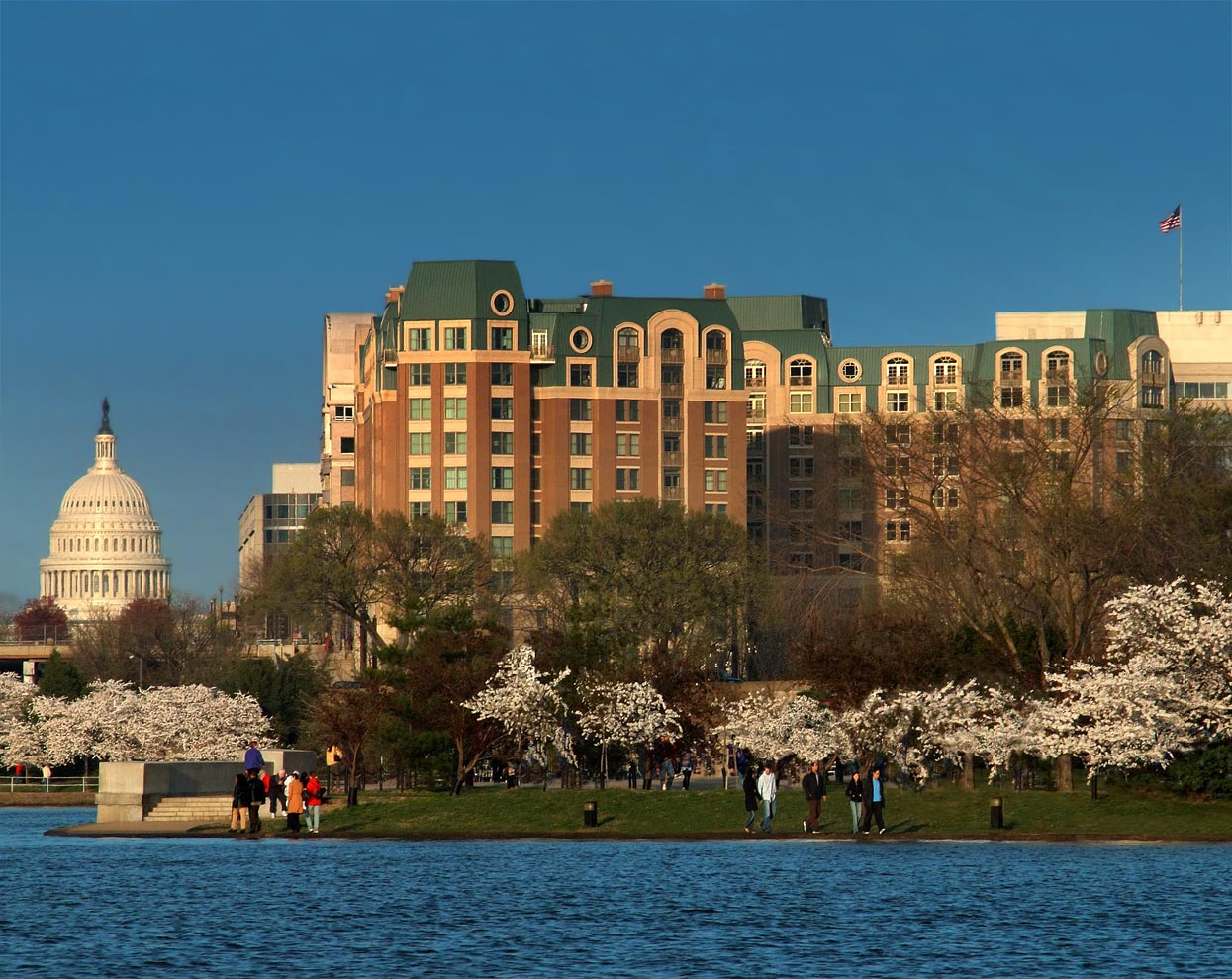US Capitol and hotel across water with cherry trees in bloom