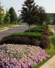 Urbana, MarylandClient: Ruppert Landscaping