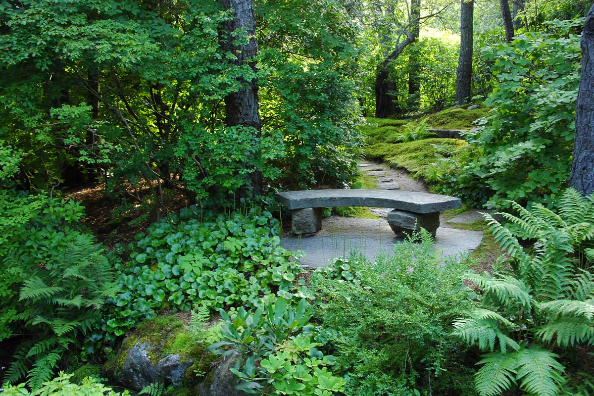 stone bench surrounded by lush landscape