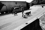 The drives to competitions in Germany, Czech Republic, Poland etc. are long. Jean stops by the highway to stretch her legs and walk the dogs. June 3, 2011.