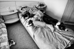 Jean and her champion dogs during an afternoon nap in a hotel room in Blsany, Czech Republic, June 4, 2011.