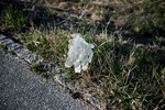 A discarded plastic protective glove lies by the road during the coronavirus outbreak nationwide lockdown near Kranj, Slovenia, on March 20, 2020.