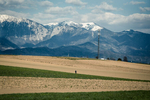 A man walks across a field on the outskirts of Kranj, Slovenia, on April 4, 2020.