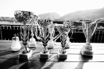 Trophies wait on a table at a restaurant terrace where the award ceremony of the National Fly Fishing Championship competition in Jesenice, Slovenia, took place on April 3, 2011.