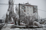 A broken tree is seen among powerlines  in Postojna, Slovenia, February 5 2014.