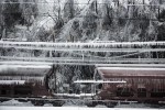 Train cars are seen covered in ice among broken trees and frozen powerlines in Postojna, Slovenia, February 5 2014.