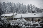 A house is seen among broken trees in Postojna, Slovenia, February 5 2014.