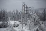 A  broken power line is seen among a forest of broken trees in Postojna, Slovenia, February 5 2014.