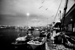 By dawn, the distribution bazaar in the fishing port of Kumkapi is full of fishermen, buyers, restaurant owners, shop owners, buying the fish for their business. Thousands of tourists in Istanbul will eat thousands of fish during the day.