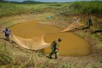 The Kevdrovce team pulling a weighted net through Kevdrovce sinkhole. One pull is not nearly enough. It takes at least three.