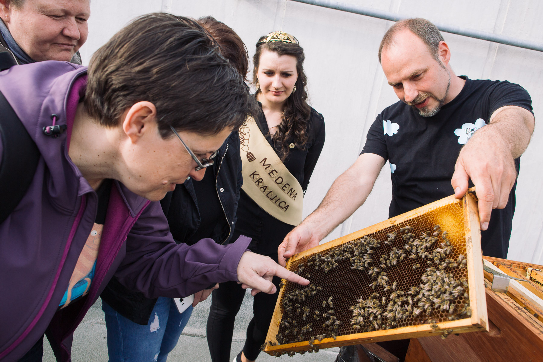 Ljubljana Beekeeping Trail, an organised tour of beehives in the city and history of urban beekeeping in Ljubljana. In 2017, the running Slovenian Bee Queen joined one of the tours.