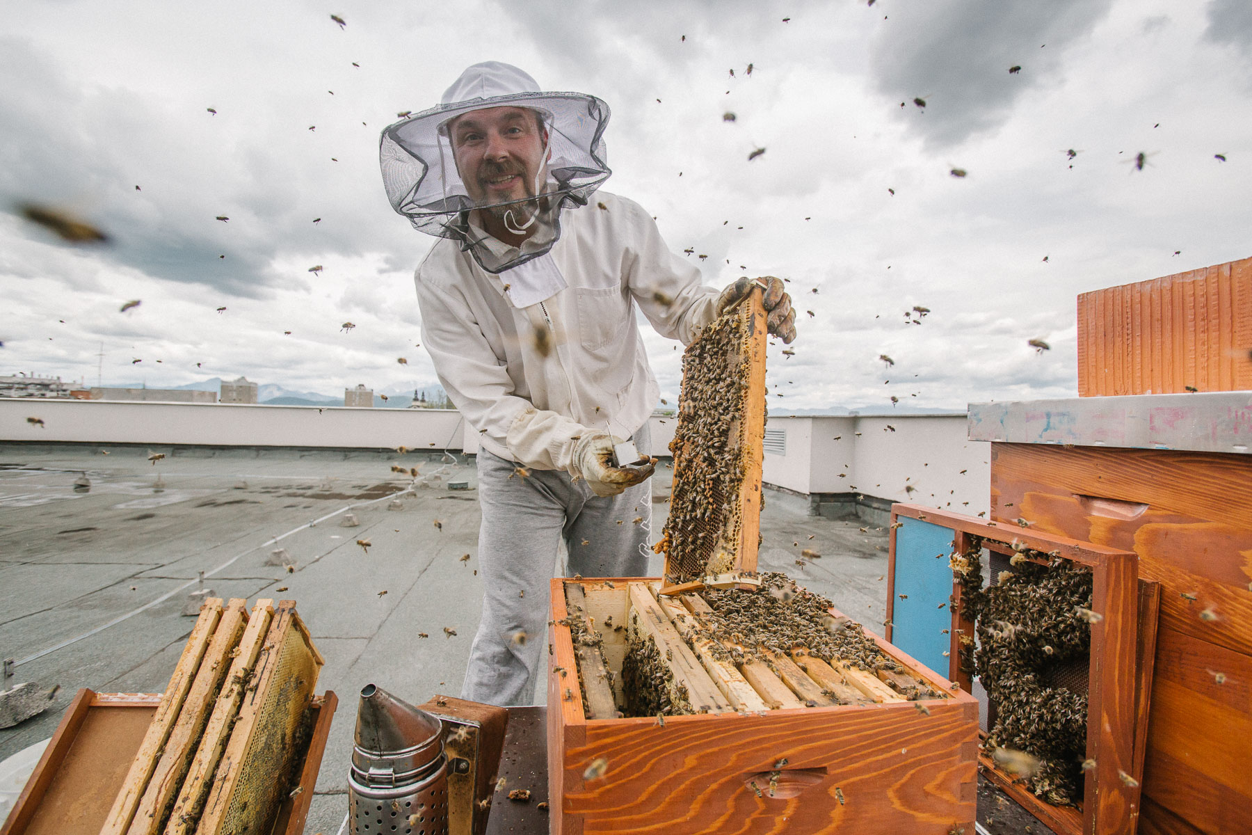 Gorazd Trušnovec, urban beekeeper