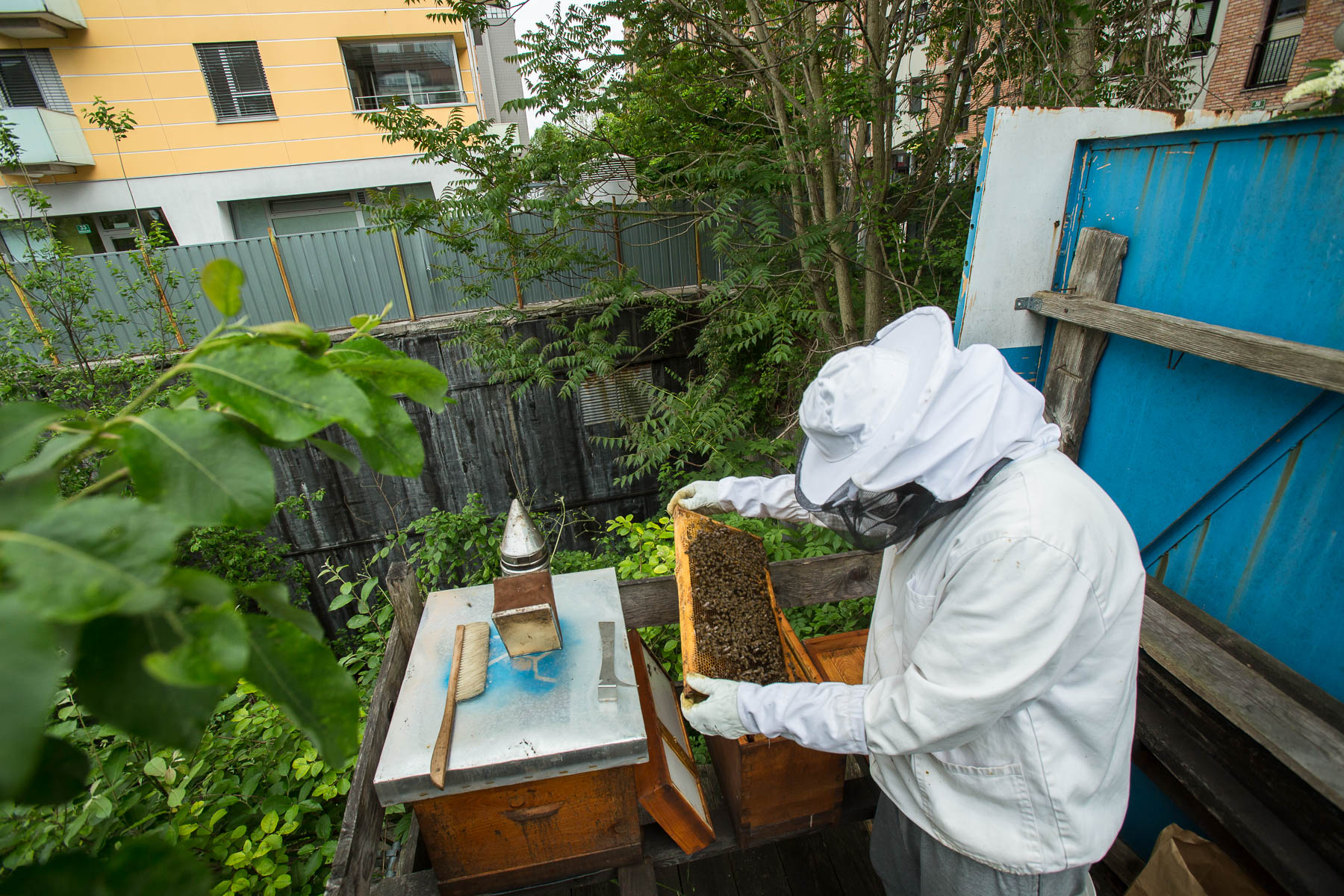 Trušnovec inspects the beehives at a deserted construction pit transformed into an urban community garden called Onkraj gradbišča (Beyond a construction site) in Ljubljana.