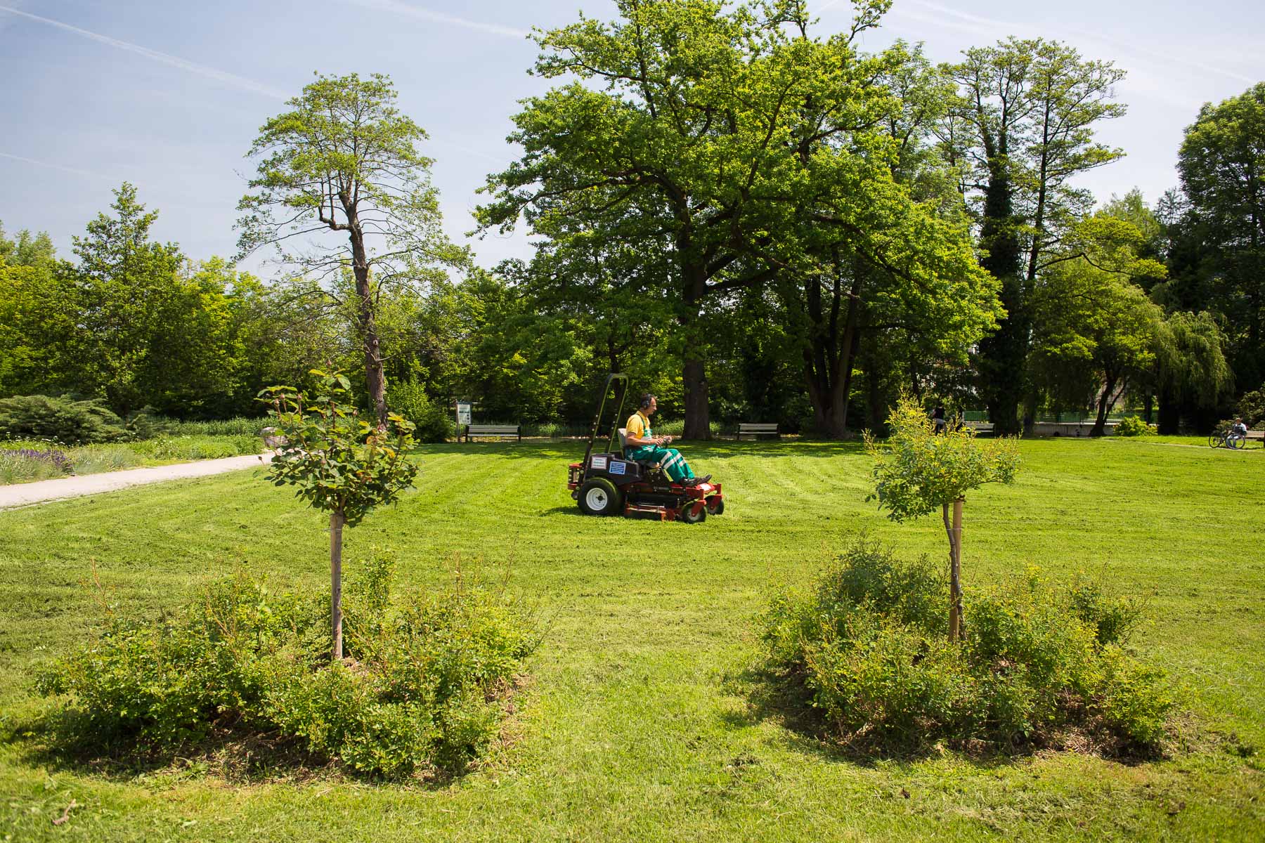 The Municipality of Ljubljana agreed with public services to start cutting grass in the city later, because one of the problem of losing pasture for bees was cutting grass too early, before grass plants were in full bloom.