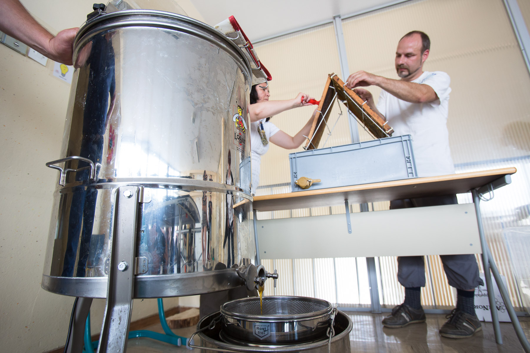 By the end of May the first honey is being collected at the Secondary School of Trade in Ljubljana.