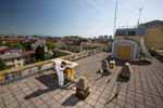 Urban beekeeper Žiga Logonder inspects the beehives on the rooftop of the Slovenian Environment Agency. 