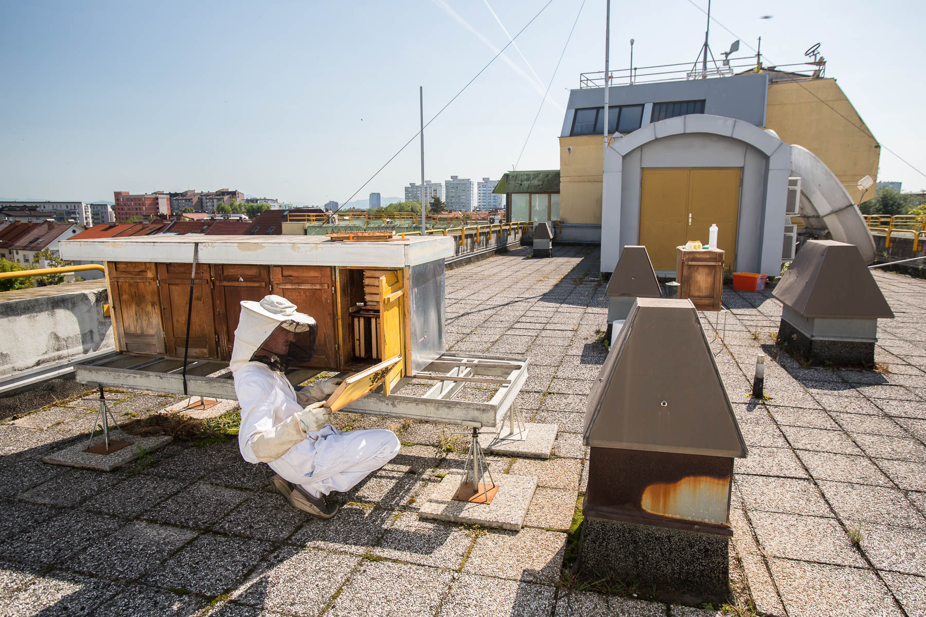 Žiga Logonder inspects beehives on the rooftop of Slovenian Environment Agency.