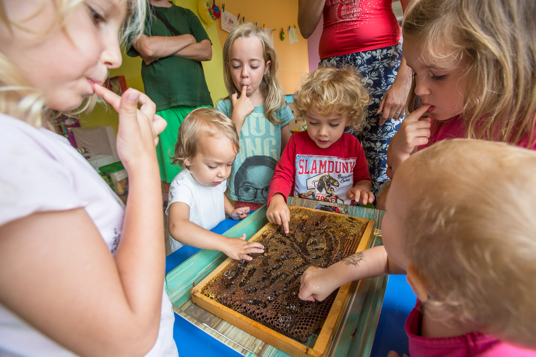 Children in the api kindergarten Lunba taste honey directly from the honeycomb.