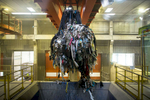 A garbage grab crane loads residual waste into a shredder in the RCERO Ljubljana mechanical biologial treatment plant. The shredded waste then proceeds to sieving and separation. 95% of residual waste is separated into recyclable materials.