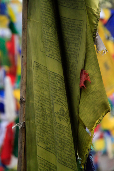 Prayer Flags Darjeeling, India