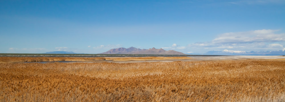 Antelope Island Great Salt Lake, Utah