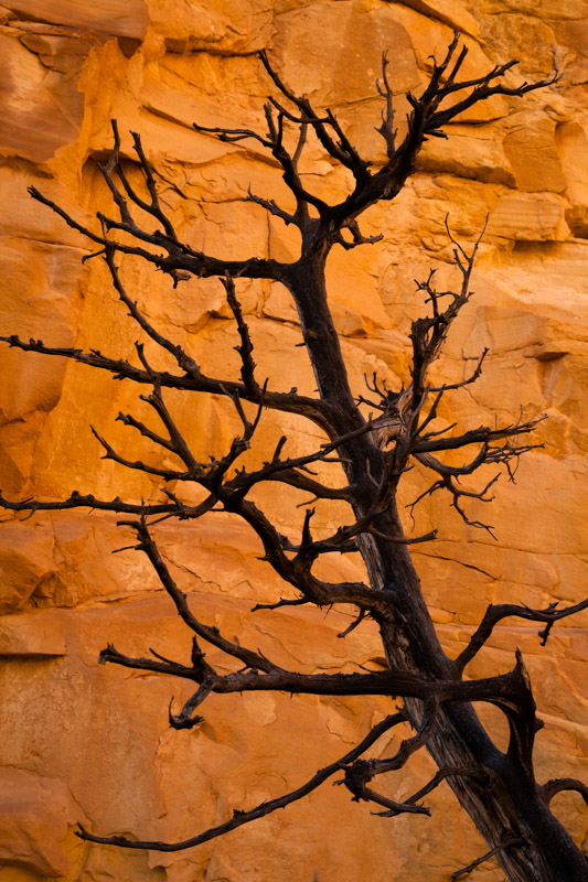 Texture Red Rocks, Nevada