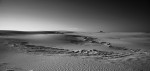 Mud and Sand White Sands, New Mexico