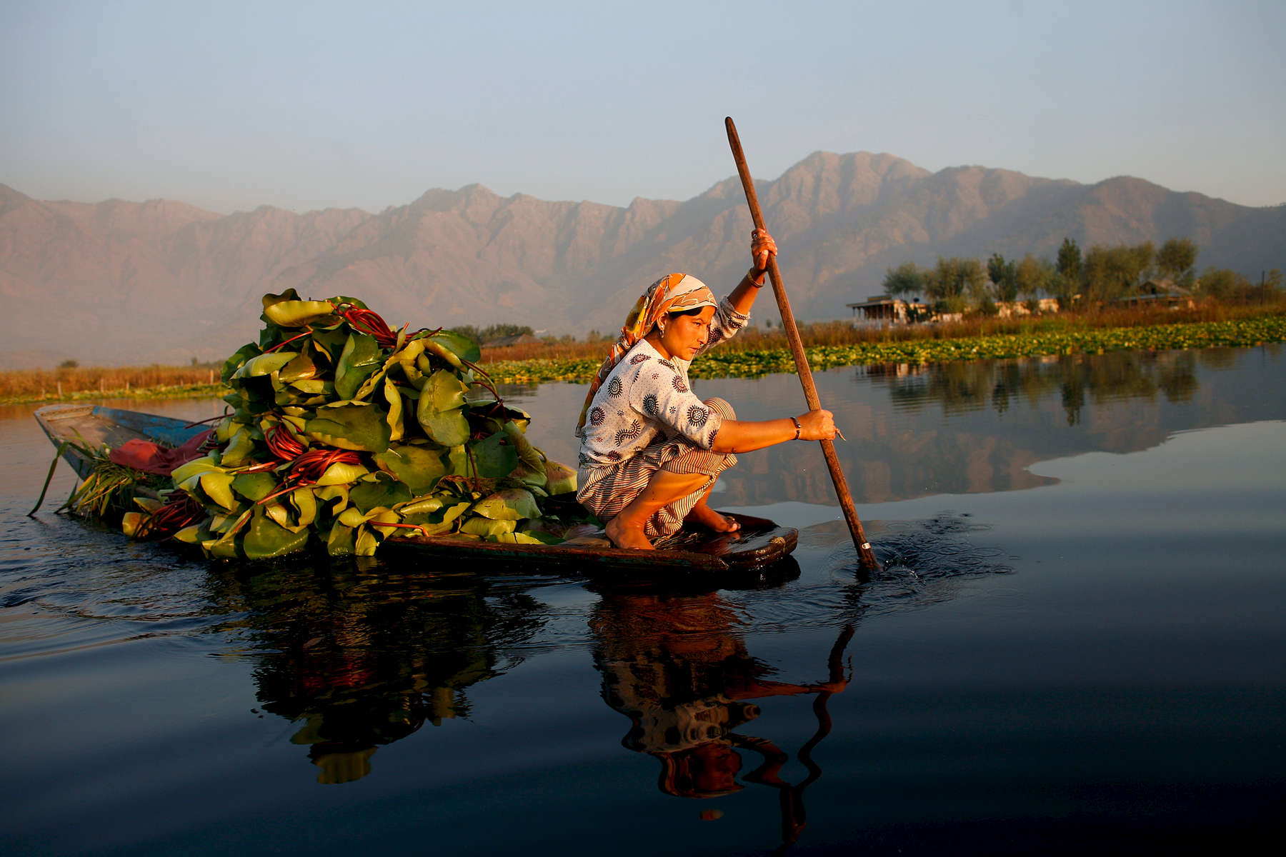 SRINAGAR, INDIA - OCTOBER 4 :A Kashmiri woman paddles along on Dal Lake October 4, 2008 in Srinagar, Kashmir. In the past few months the region's summer captiol has witnessed the biggest pro-independence demonstrations since the separatist insurgency erupted in 1989. The protests have triggered a heavy crackdown by Indian security forces including many strict curfews and with that tourist numbers have dropped significantly. Continous disturbances have brought down hotel occupancy from 100 percent in May 2008 to almost zero in September 2008,{quote} according to government statements.  (Photo Paula Bronstein/Getty Images)