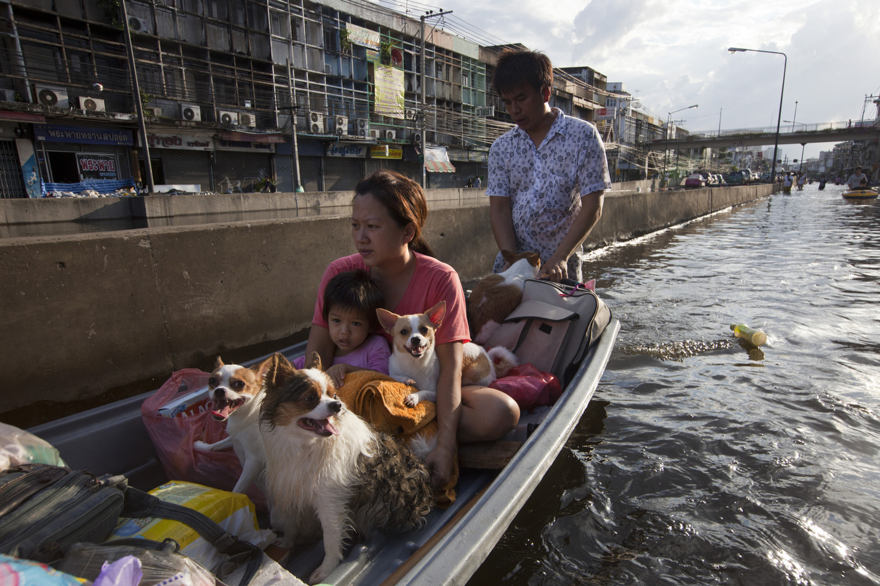 BANGKOK,THAILAND - OCTOBER 29: A Thai family evacuates with all their dogs in a boat through a flooded neighborhood near the Chayo Praya river as rising waters threaten parts of the capitol city October 29, 2011 in Bangkok, Thailand. Hundreds of factories have been closed in the central Thai province of Ayutthaya and Nonthaburi. Thailand is experiencing the worst flooding in over 50 years which has affected more than nine million people. Over 400 people have died in flood-related incidents since late July according to the Department of Disaster Prevention and Mitigation.(Photo by Paula Bronstein /Getty Images)
