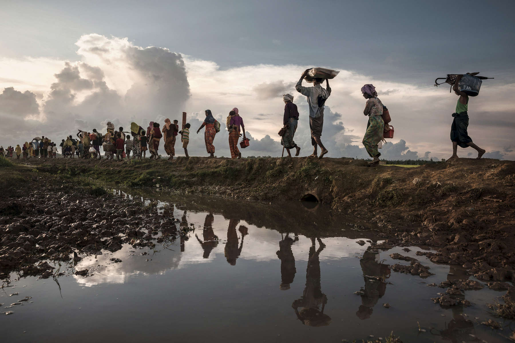 PALONG KHALI, BANGLADESH - OCTOBER 9: Thousands of Rohingya refugees fleeing from Myanmar walk along a muddy rice field after crossing the border in Palong Khali, Cox's Bazar, Bangladesh. The refugee emergency unfolded in late August after an attack on state security forces by Rohingya insurgents, triggering a brutal military crackdown that has forced more than half of the country’s 1.1 million population fleeing to neighboring Bangladesh creating the fastest cross-border exodus ever witnessed with over 655,000 new arrivals. Thousands of children who are travellling alone are at serious risk of trafficking and exploitation. Many traumatized refugees arrived telling stories of horror alleging rape, killings and the burning of hundreds of villages, which have been well documented by the media, along with the U.N and various human rights groups. 