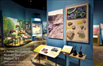 Client: ECOS CommunicationsProject: Washakie Museum, Worland, WYProject Details: Hired to locate and license images of Wyoming settlement and cattle industry, historical paleontology imagery from Wyoming, famous figures from paleontology history, dig sites, historical images from Yale Peabody Museum, American Museum of Natural History, Smithsonian, Buffalo Bill Center of the West, high resolution copies of dinosaur paintings from various periods of time, and Wyoming newspaper clippings. 