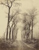 EugÃ¨ne Cuvelier, Road and Trees with Hoarfrost, French, 1837 - 1900, 1860, albumen print from paper negative mounted on paperboard, Patrons' Permanent Fund