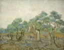 Vincent van Gogh (Dutch, 1853 - 1890 ), The Olive Orchard, 1889, oil on canvas, Chester Dale Collection
