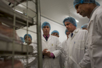 French First Minister Manuel Valls inaugurates the poultry slaughterhouse Crete d'Or in l'Etang Sale, Reunion Island, France. Thursday, June 11, 2015