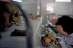 Forensic anthropologist Ewa Klonowski examines skeletons exhumed from a mass grave near Foca, in eastern Bosnia.