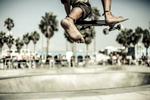 Venice Skate Park 