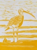 curlew I