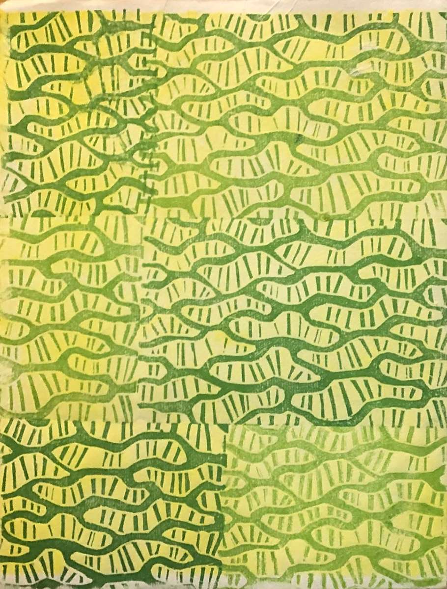 linocut print of sphagnum moss cells, one of the most absorbent materials in nature
